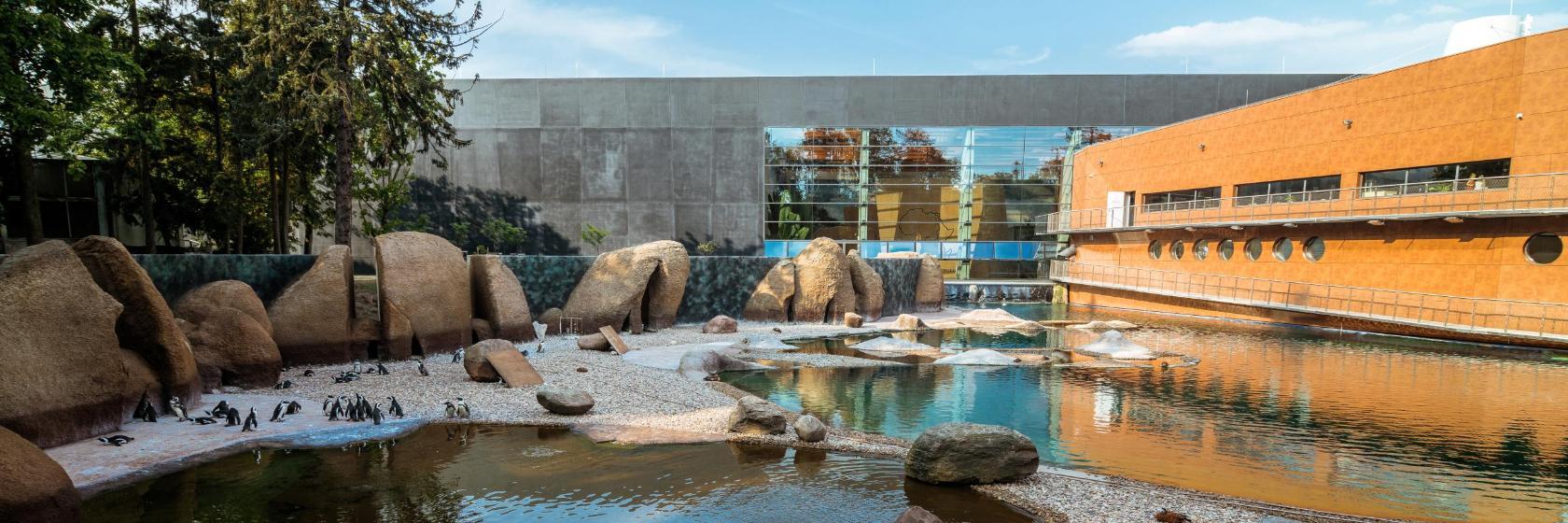 Ogród Zoologiczny we Wrocławiu